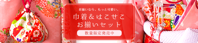 巾着＆はこせこお揃いセット